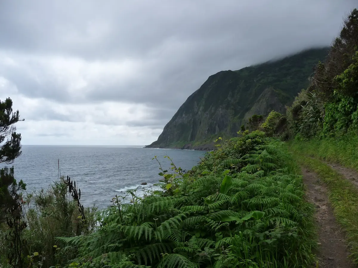 Hiking path on a steep misty coastline on São Jorge island