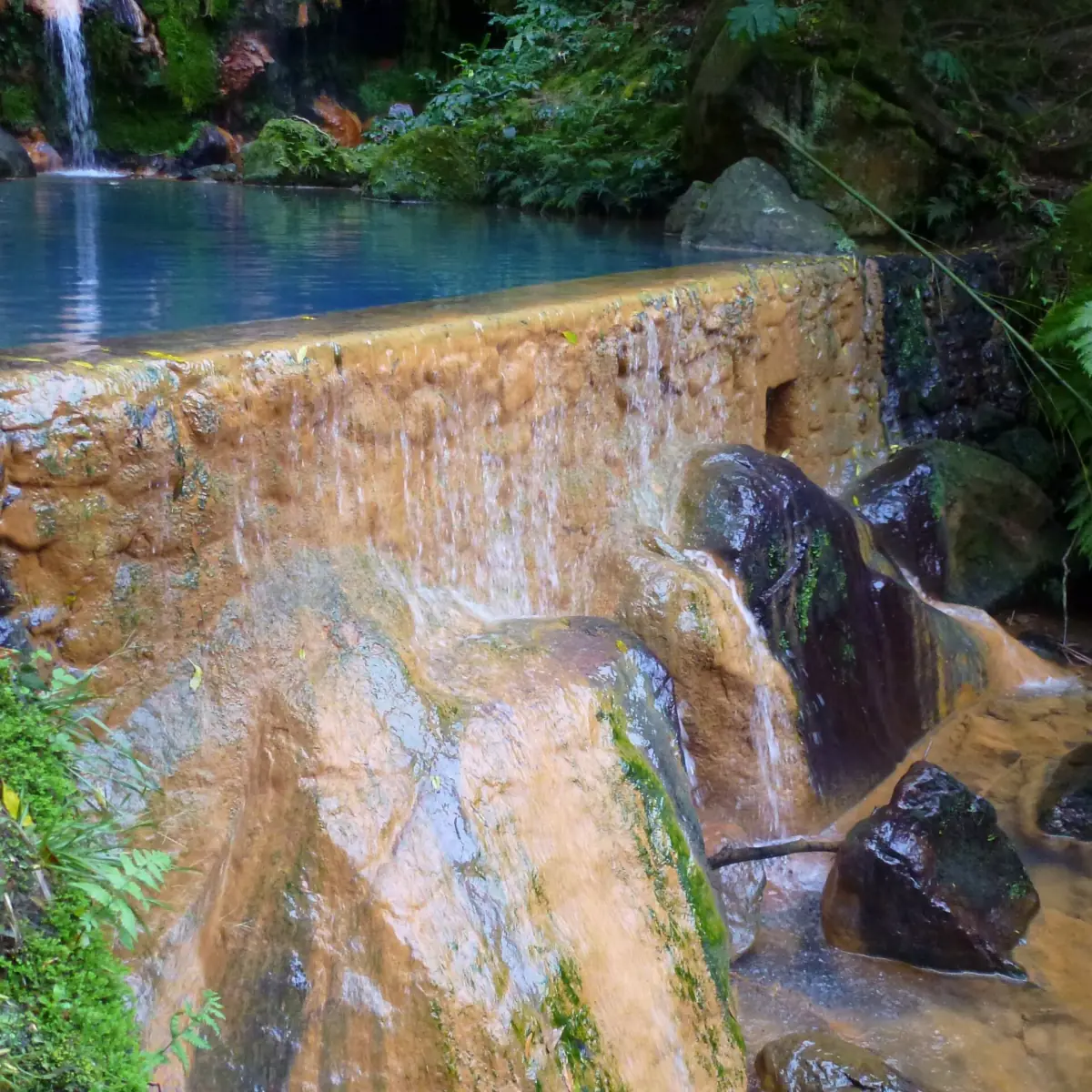 Warm mineral water spilling over rocks into a pool framed by greenery